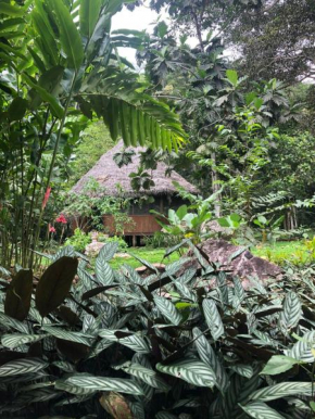 Casa Kunan, reconnecting with nature